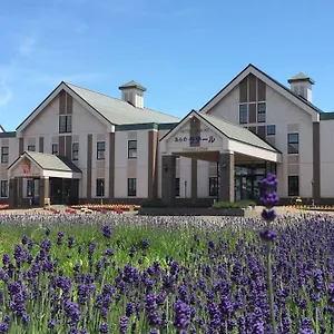 https://furano-la-terre.hokkaidohotelsjapan.com